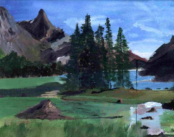 Mountain Field